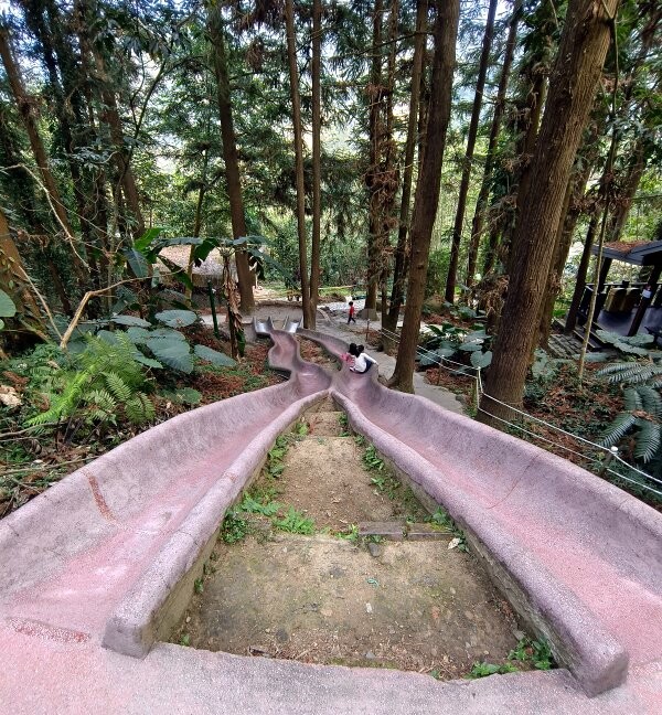 【南投親子景點】鳳凰谷鳥園生態園區.銅板價暢遊溜滑梯、鳥園!