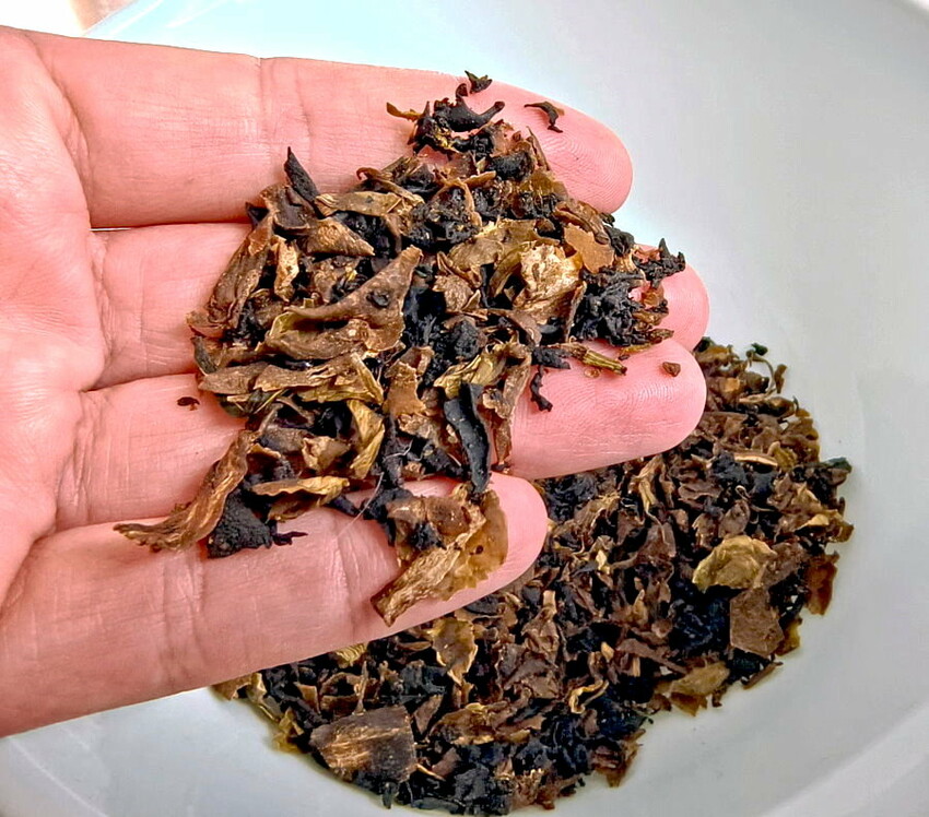 SANSUI山水廚餘機開箱．APP操控、低溫發酵堆肥、烘乾除臭殺菌!