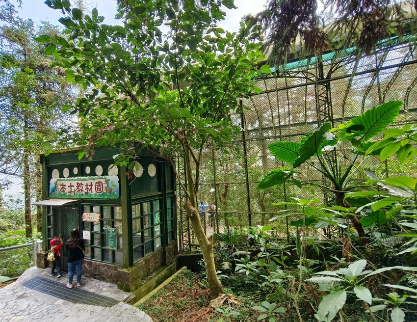 【南投親子景點】鳳凰谷鳥園生態園區.銅板價暢遊溜滑梯、鳥園!