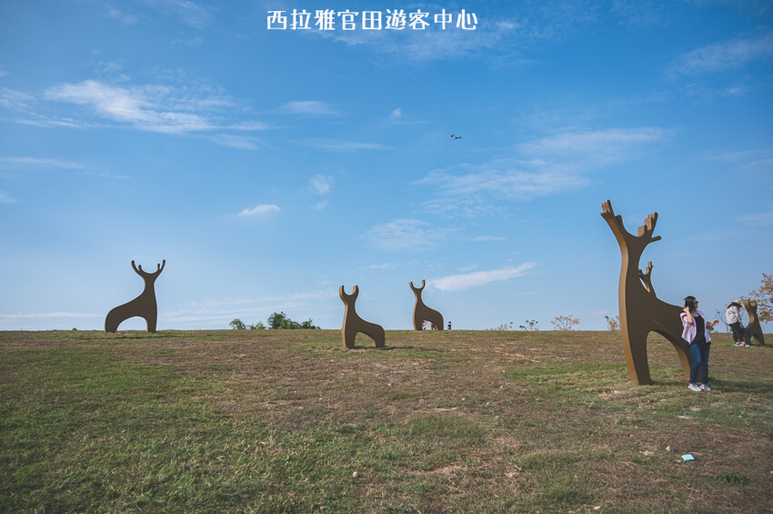 ｜台南景點｜西拉雅風景區官田遊客中心，一望無際大草地還有超好拍梅花鹿地景 - 婷兒旅行地圖