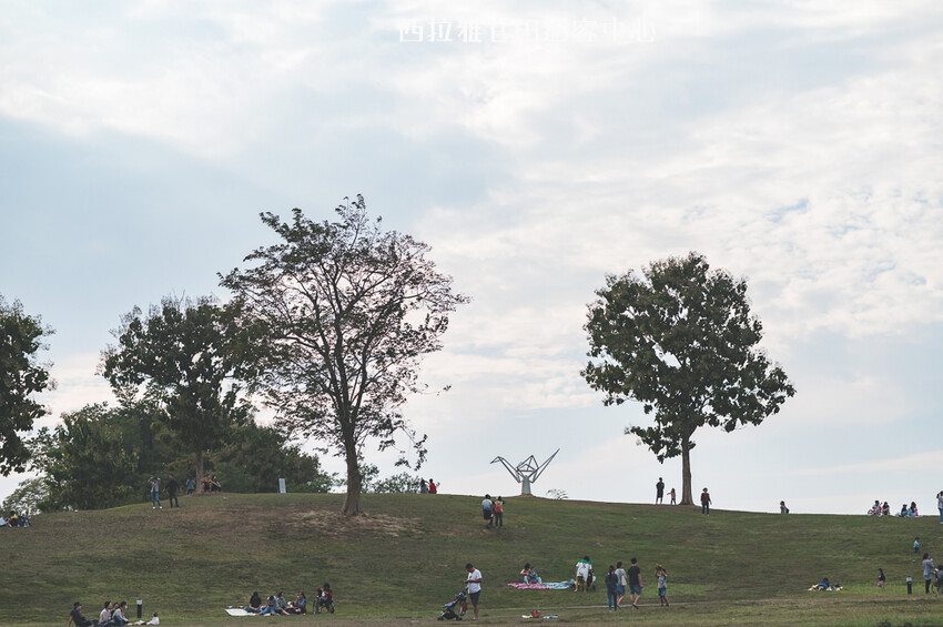 ｜台南景點｜西拉雅風景區官田遊客中心，一望無際大草地還有超好拍梅花鹿地景 - 婷兒旅行地圖