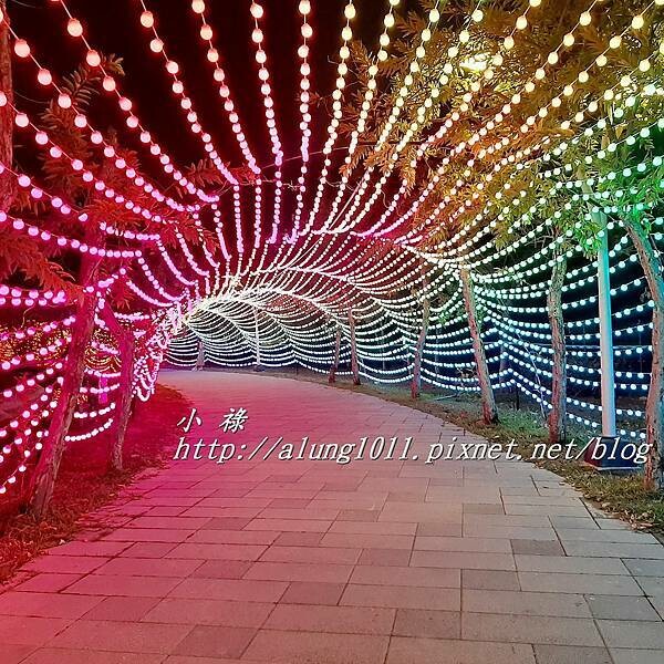 縣民公園 (13).jpg