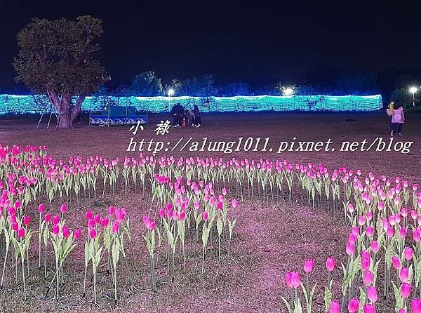 縣民公園白天 (49).jpg