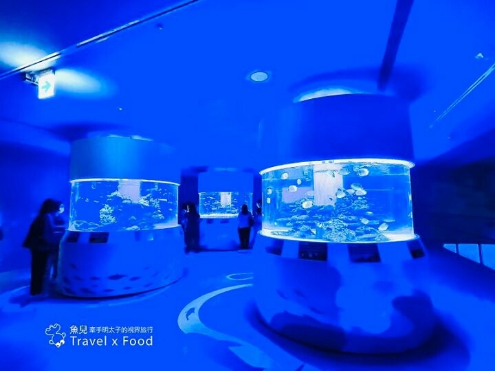 遠眺絕美海景,多媒體互動科技,沉浸式海底體驗,北北基首座大型水族館:潮境智能海洋館 @魚兒 x 牽手明太子的「視」界旅行