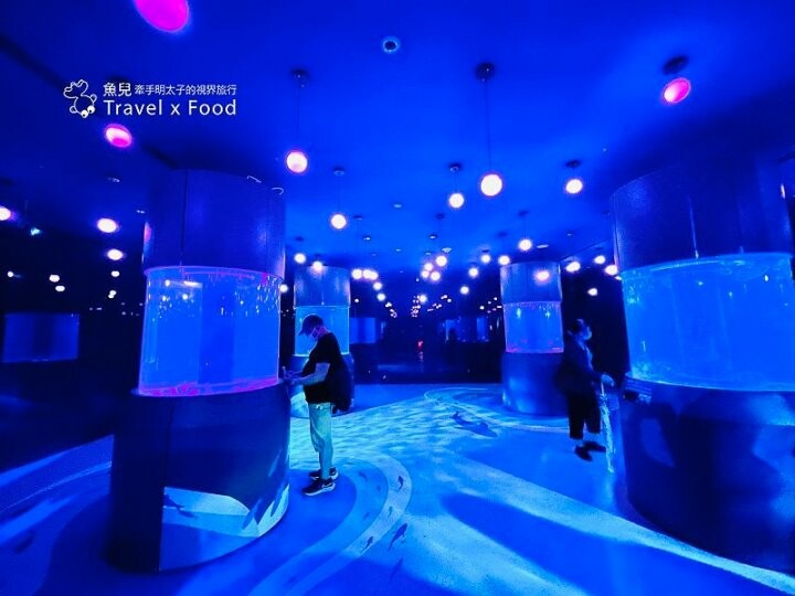 遠眺絕美海景,多媒體互動科技,沉浸式海底體驗,北北基首座大型水族館:潮境智能海洋館 @魚兒 x 牽手明太子的「視」界旅行