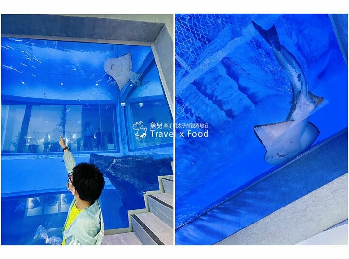 遠眺絕美海景,多媒體互動科技,沉浸式海底體驗,北北基首座大型水族館:潮境智能海洋館 @魚兒 x 牽手明太子的「視」界旅行