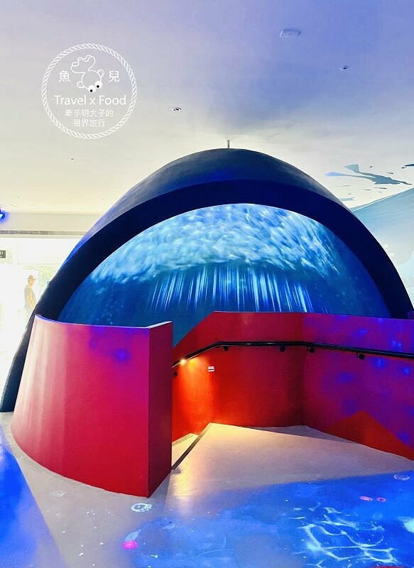 遠眺絕美海景,多媒體互動科技,沉浸式海底體驗,北北基首座大型水族館:潮境智能海洋館 @魚兒 x 牽手明太子的「視」界旅行