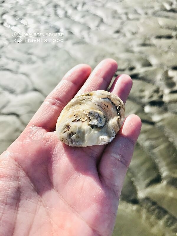 踏浪玩沙，觀海賞夕陽，超療癒景點！方形消波塊，可愛又美麗的豬鼻子沙灘～親子共遊，清涼一夏！ @魚兒 x 牽手明太子的「視」界旅行