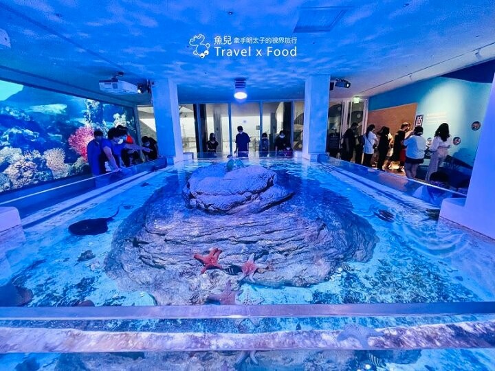 遠眺絕美海景,多媒體互動科技,沉浸式海底體驗,北北基首座大型水族館:潮境智能海洋館 @魚兒 x 牽手明太子的「視」界旅行