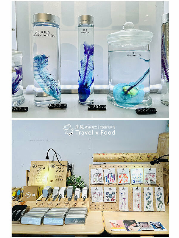 遠眺絕美海景,多媒體互動科技,沉浸式海底體驗,北北基首座大型水族館:潮境智能海洋館 @魚兒 x 牽手明太子的「視」界旅行