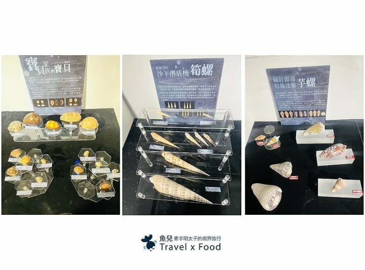 遠眺絕美海景,多媒體互動科技,沉浸式海底體驗,北北基首座大型水族館:潮境智能海洋館 @魚兒 x 牽手明太子的「視」界旅行