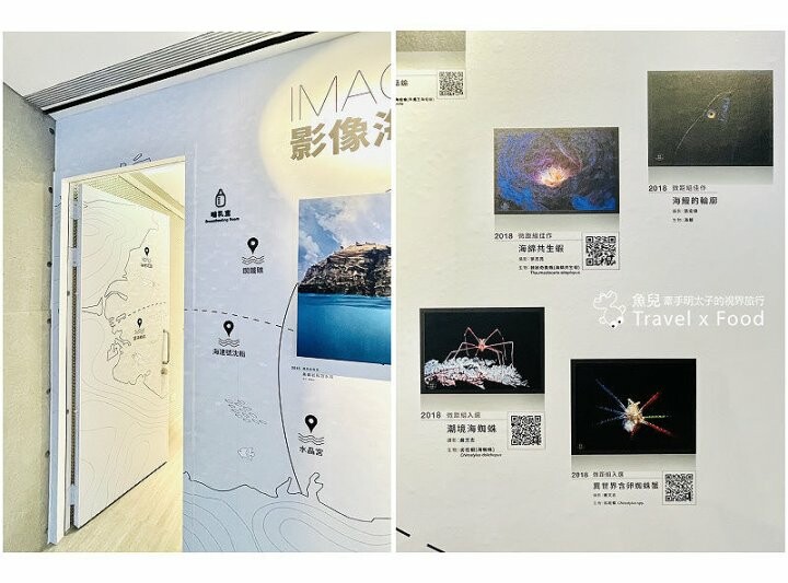 遠眺絕美海景,多媒體互動科技,沉浸式海底體驗,北北基首座大型水族館:潮境智能海洋館 @魚兒 x 牽手明太子的「視」界旅行