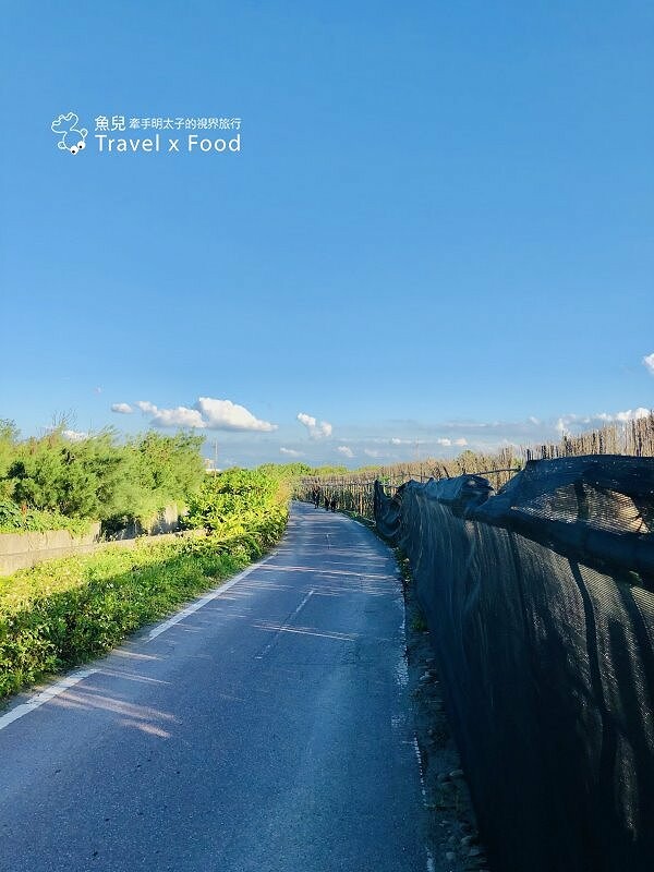 踏浪玩沙，觀海賞夕陽，超療癒景點！方形消波塊，可愛又美麗的豬鼻子沙灘～親子共遊，清涼一夏！ @魚兒 x 牽手明太子的「視」界旅行