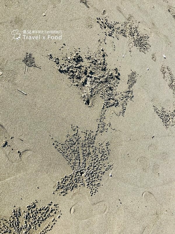 踏浪玩沙，觀海賞夕陽，超療癒景點！方形消波塊，可愛又美麗的豬鼻子沙灘～親子共遊，清涼一夏！ @魚兒 x 牽手明太子的「視」界旅行