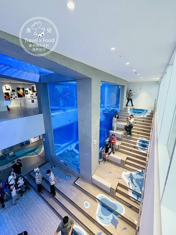 遠眺絕美海景,多媒體互動科技,沉浸式海底體驗,北北基首座大型水族館:潮境智能海洋館 @魚兒 x 牽手明太子的「視」界旅行