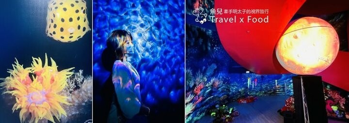 遠眺絕美海景，多媒體互動科技，沉浸式海底體驗，北北基首座大型水族館：潮境智能海洋館 @魚兒 x 牽手明太子的「視」界旅行