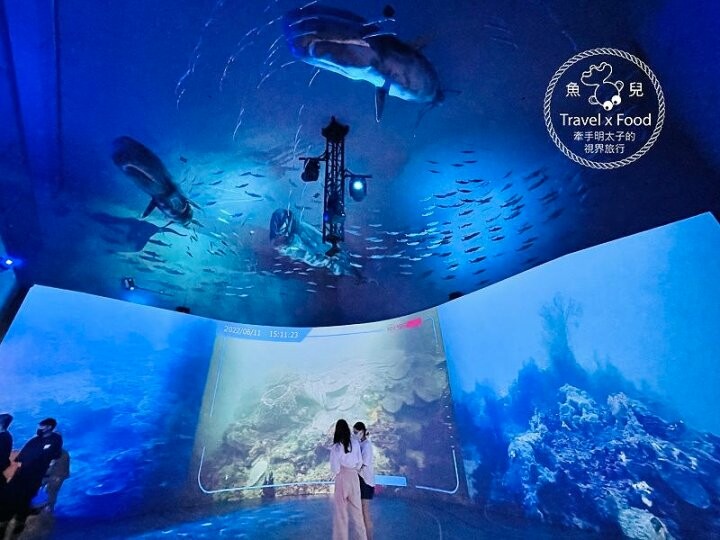 遠眺絕美海景，多媒體互動科技，沉浸式海底體驗，北北基首座大型水族館：潮境智能海洋館 @魚兒 x 牽手明太子的「視」界旅行