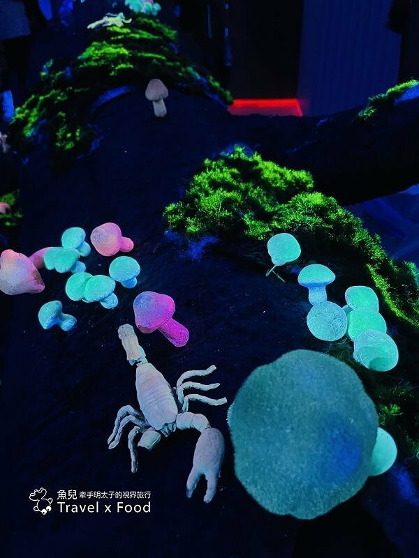 遠眺絕美海景,多媒體互動科技,沉浸式海底體驗,北北基首座大型水族館:潮境智能海洋館 @魚兒 x 牽手明太子的「視」界旅行