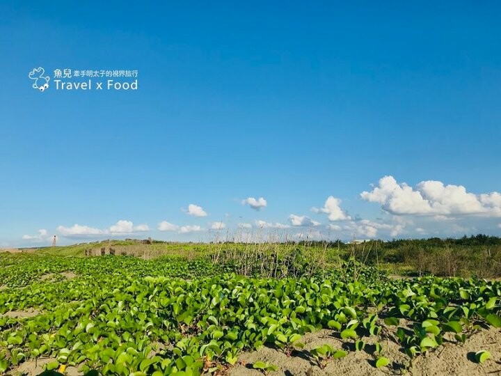 踏浪玩沙，觀海賞夕陽，超療癒景點！方形消波塊，可愛又美麗的豬鼻子沙灘～親子共遊，清涼一夏！ @魚兒 x 牽手明太子的「視」界旅行