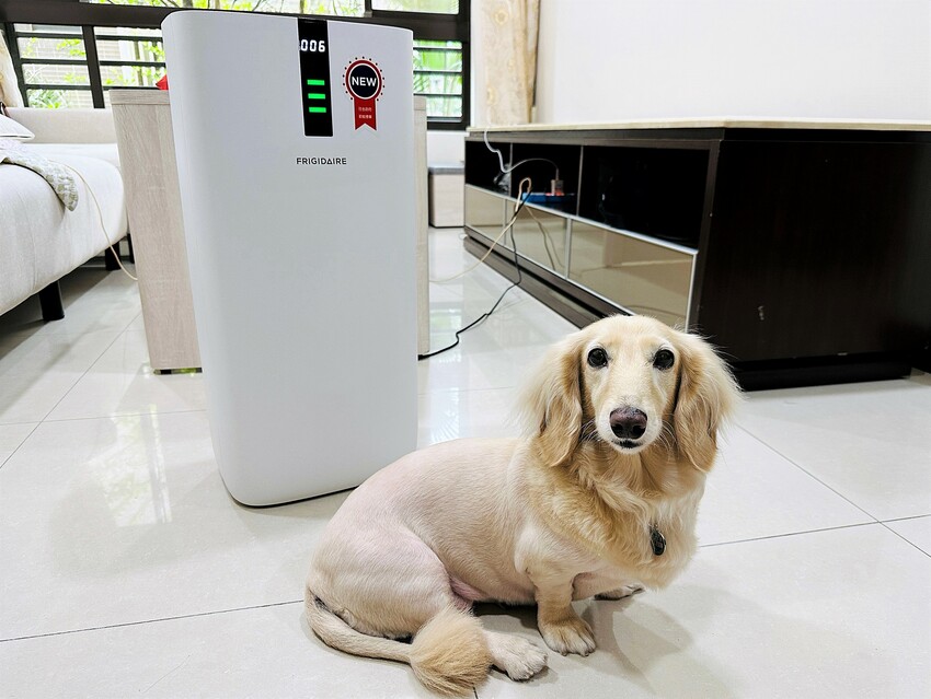 【FRIGIDAIRE富及第】CASR 4.4節能升級款智慧型空氣清淨機FAP-0441HP，負離子雙重過濾，DC直流風扇3+1段式風速調整，過敏兒救星！隨時把控空氣品質，髒空氣通通一網打盡！