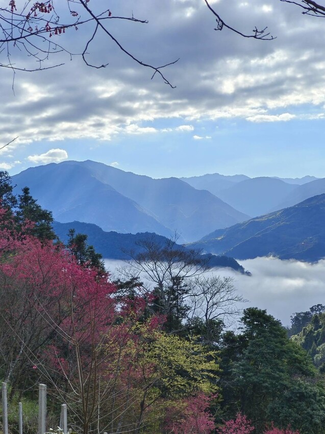 25389.jpg - 【新竹.五峰】山上人家景觀餐廳+鵝公髻山小百岳no.31沿路櫻花李花雲海賞不停