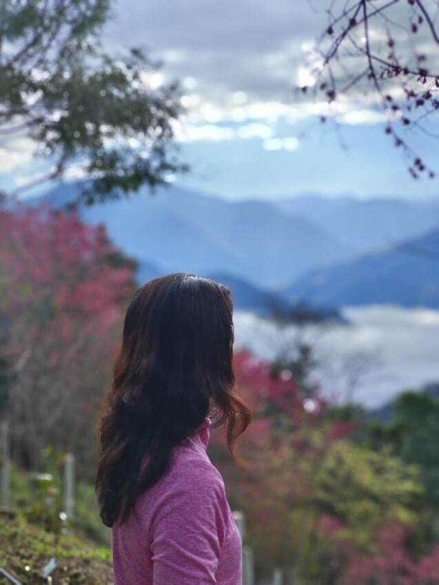 25387.jpg - 【新竹.五峰】山上人家景觀餐廳+鵝公髻山小百岳no.31沿路櫻花李花雲海賞不停