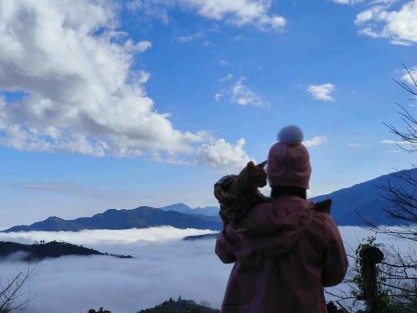 25393.jpg - 【新竹.五峰】山上人家景觀餐廳+鵝公髻山小百岳no.31沿路櫻花李花雲海賞不停