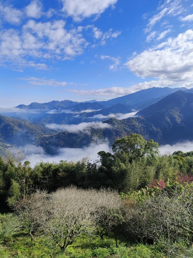  山上人家/ WalkerLand窩客島整理提供 未經許可不可轉載
