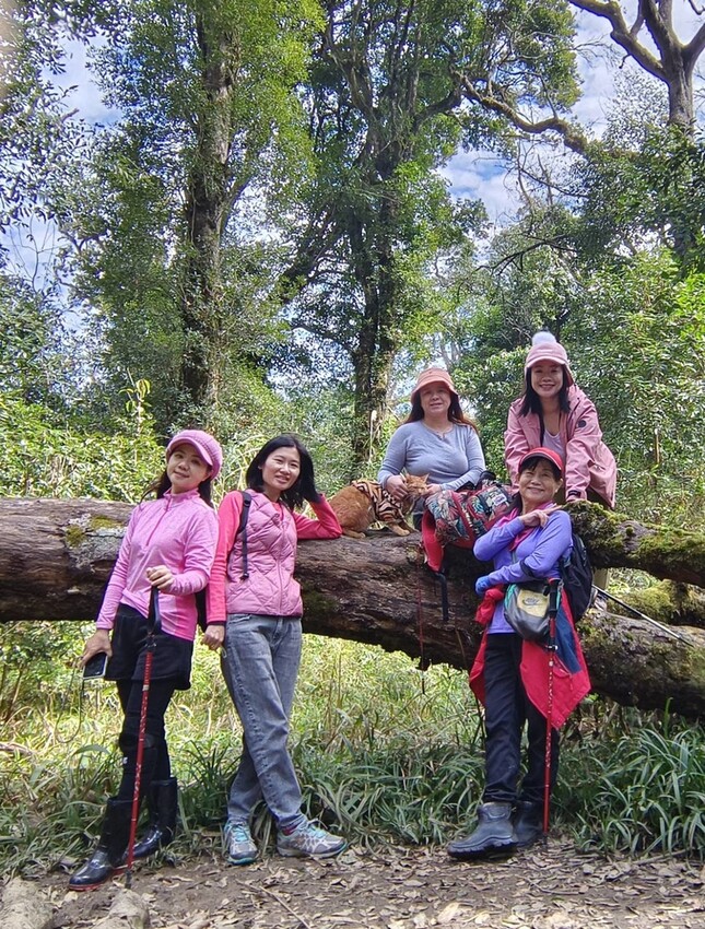 25209.jpg - 【新竹.五峰】山上人家景觀餐廳+鵝公髻山小百岳no.31沿路櫻花李花雲海賞不停