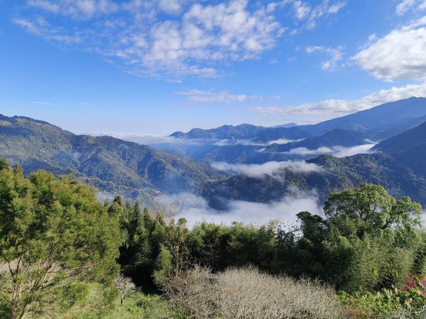 25373.jpg - 【新竹.五峰】山上人家景觀餐廳+鵝公髻山小百岳no.31沿路櫻花李花雲海賞不停