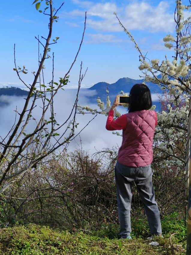 25380.jpg - 【新竹.五峰】山上人家景觀餐廳+鵝公髻山小百岳no.31沿路櫻花李花雲海賞不停