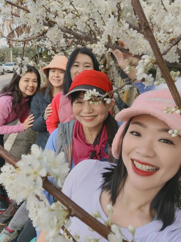 25382.jpg - 【新竹.五峰】山上人家景觀餐廳+鵝公髻山小百岳no.31沿路櫻花李花雲海賞不停