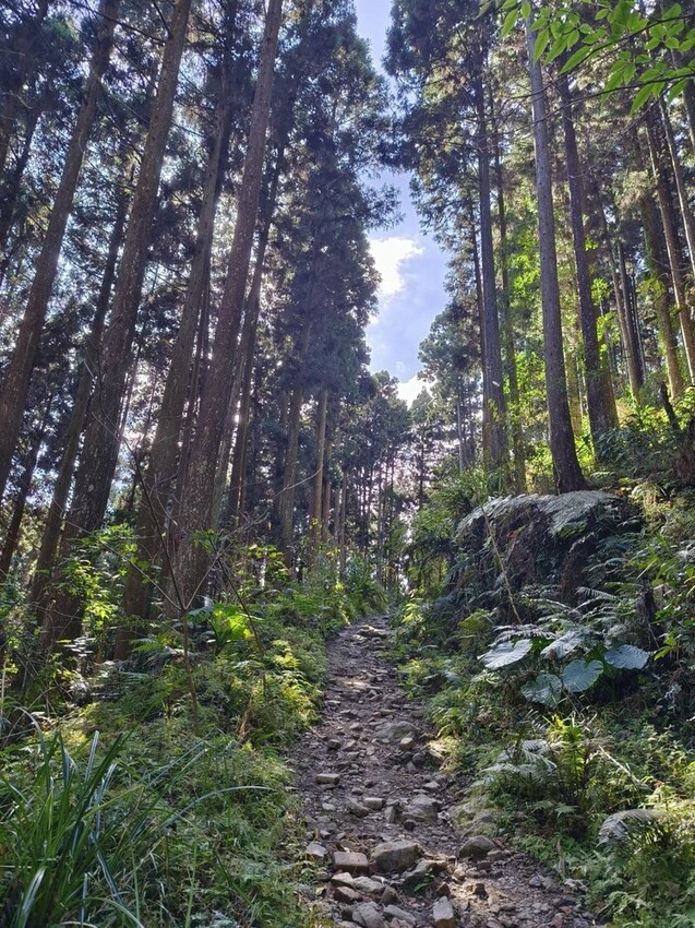 25363.jpg - 【新竹.五峰】山上人家景觀餐廳+鵝公髻山小百岳no.31沿路櫻花李花雲海賞不停
