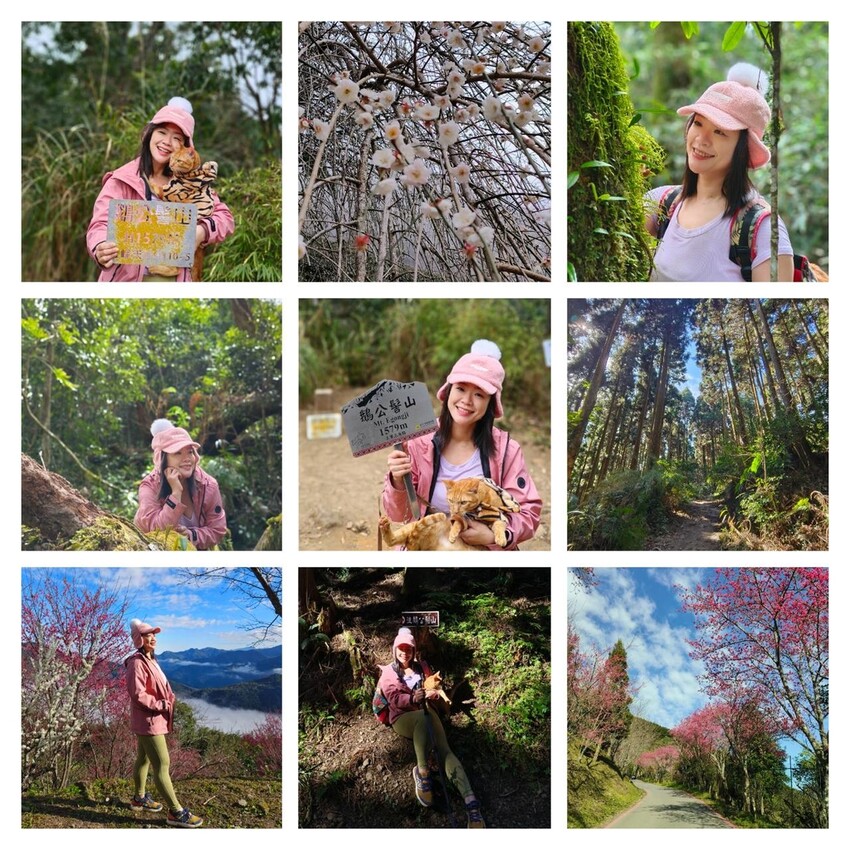 25180.jpg - 【新竹.五峰】山上人家景觀餐廳+鵝公髻山小百岳no.31沿路櫻花李花雲海賞不停