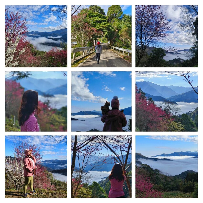 25561.jpg - 【新竹.五峰】山上人家景觀餐廳+鵝公髻山小百岳no.31沿路櫻花李花雲海賞不停