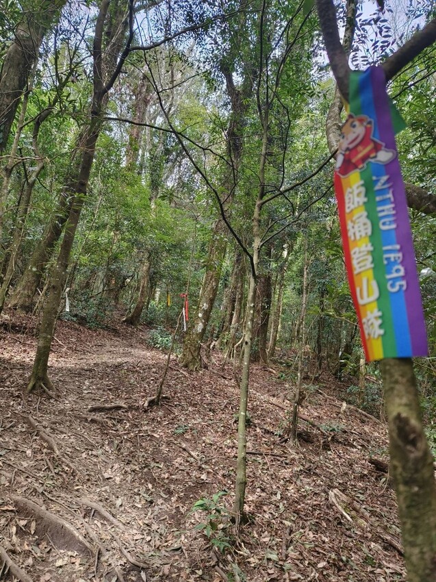 25216.jpg - 【新竹.五峰】山上人家景觀餐廳+鵝公髻山小百岳no.31沿路櫻花李花雲海賞不停