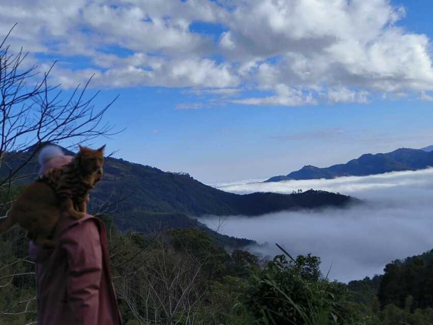 25392.jpg - 【新竹.五峰】山上人家景觀餐廳+鵝公髻山小百岳no.31沿路櫻花李花雲海賞不停