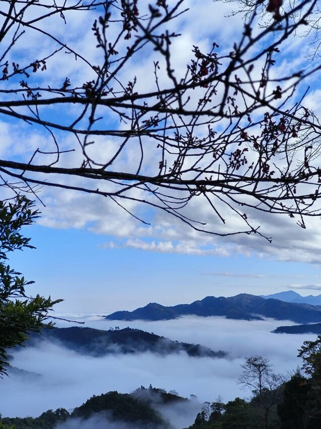 25390.jpg - 【新竹.五峰】山上人家景觀餐廳+鵝公髻山小百岳no.31沿路櫻花李花雲海賞不停