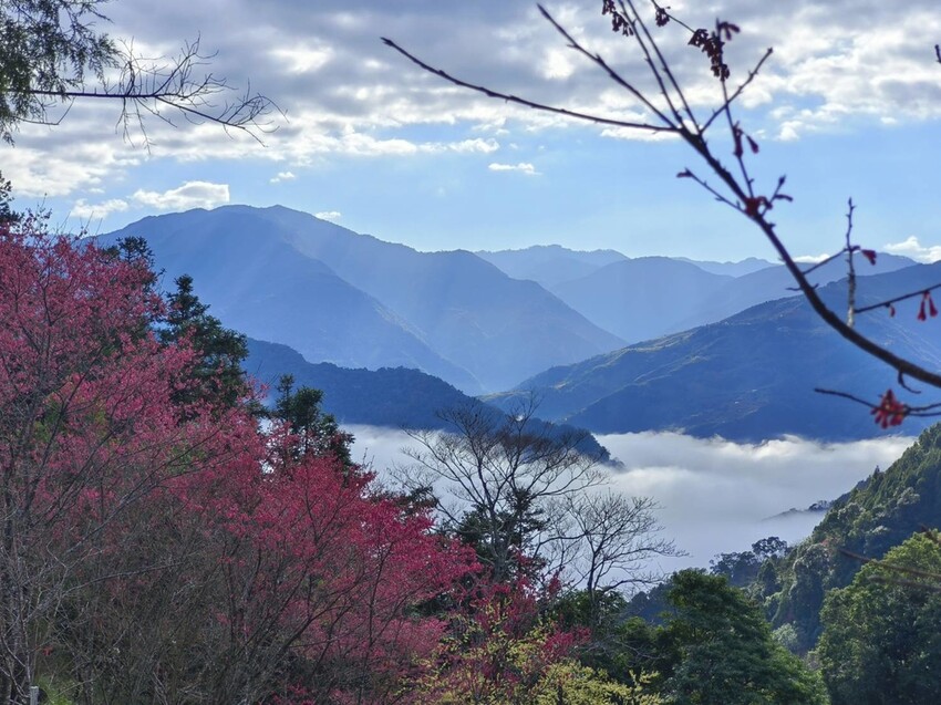  山上人家/ WalkerLand窩客島整理提供 未經許可不可轉載