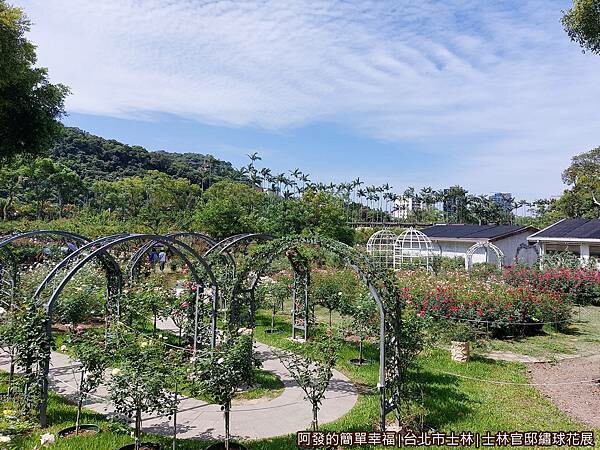 士林官邸繡球花展06-玫瑰園.jpg
