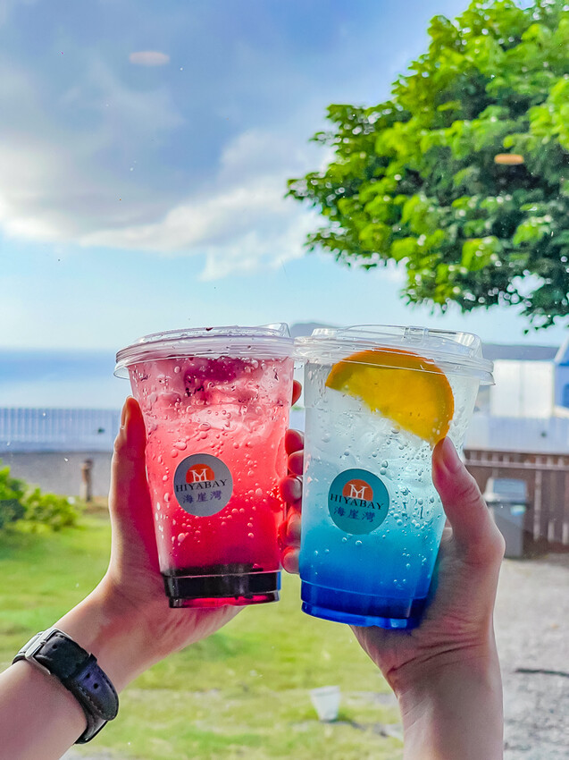 恆春墾丁景點 – 海崖灣萌寵景觀園區 x 近距離接觸可愛水豚君、笑笑羊與草泥馬！