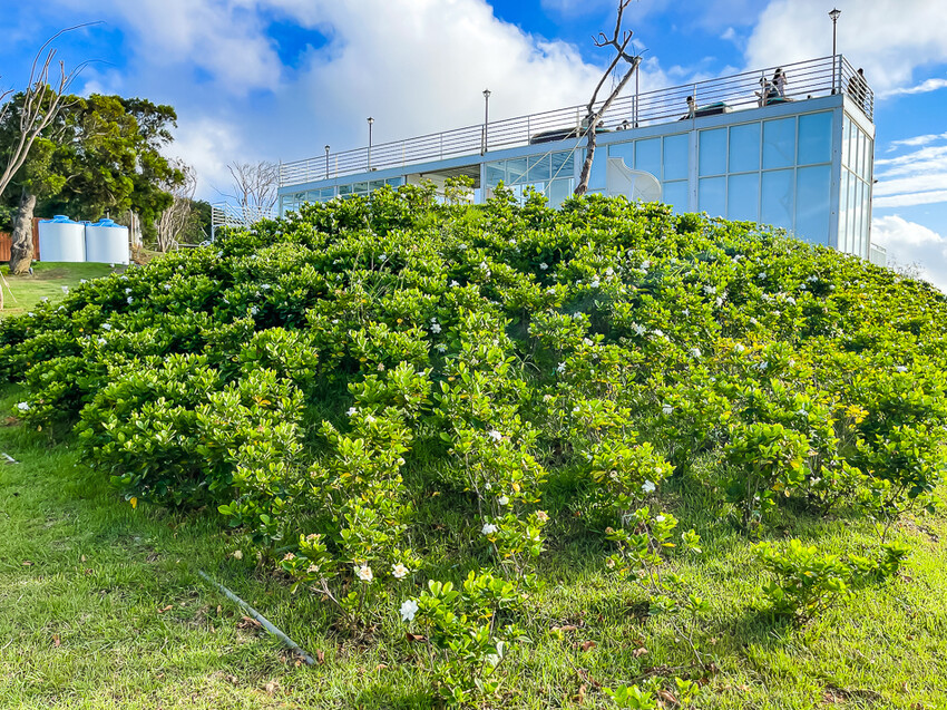 恆春墾丁景點 – 海崖灣萌寵景觀園區 x 近距離接觸可愛水豚君、笑笑羊與草泥馬！