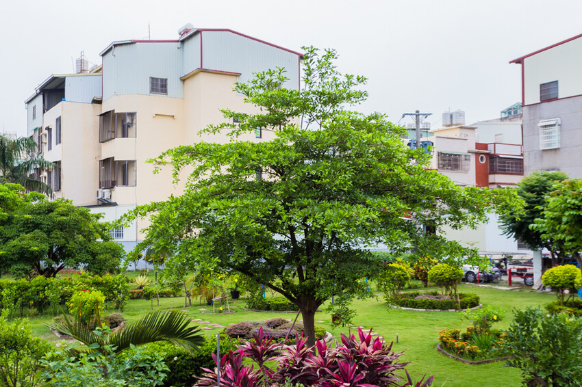 岡山籃籗會(籮筐會)