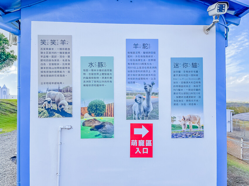 恆春墾丁景點 – 海崖灣萌寵景觀園區 x 近距離接觸可愛水豚君、笑笑羊與草泥馬！