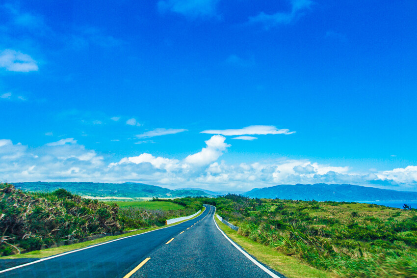 恆春墾丁景點 – 海崖灣萌寵景觀園區 x 近距離接觸可愛水豚君、笑笑羊與草泥馬！