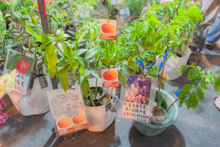 岡山籃籗會(籮筐會)