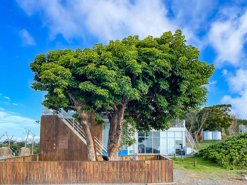 恆春墾丁景點 – 海崖灣萌寵景觀園區 x 近距離接觸可愛水豚君、笑笑羊與草泥馬！