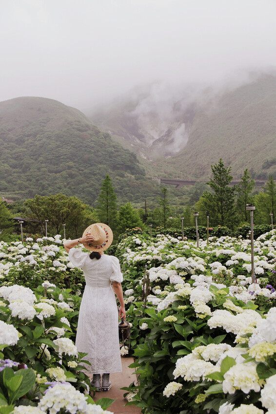 ▲台北繡球花必拍景點推薦：大賞園 /婗媽 提供、WalkerLand窩客島整理