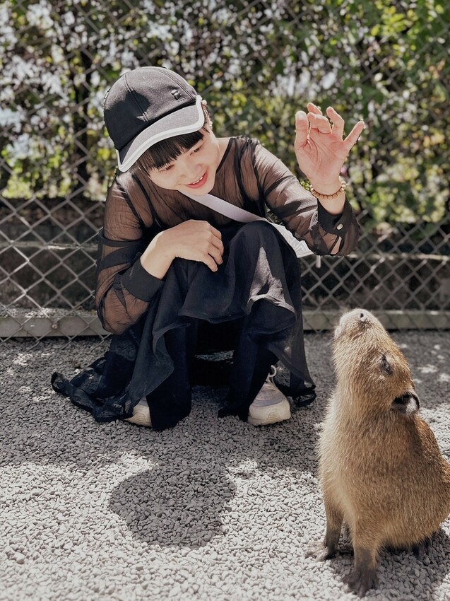 張美阿嬤農場: 近距離接觸笑笑黑面羊、水豚君、羊駝、白袋鼠還有好吃的冰淇淋車輪餅