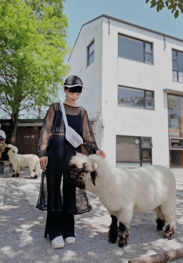 張美阿嬤農場: 近距離接觸笑笑黑面羊、水豚君、羊駝、白袋鼠還有好吃的冰淇淋車輪餅